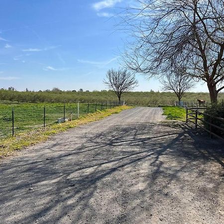 Adorable 1 Bedroom With Pool, And Horse Arena Oakdale Bagian luar foto